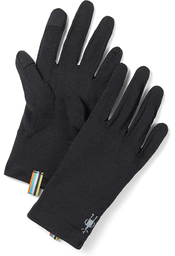 Amazon.com : Arc'teryx Rho Glove | Synthetic Moisture